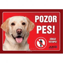 Samolepka - pozor pes labrador zlatý