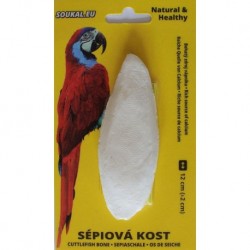 Sépiová kost na kartě cca 12 cm (1 ks)